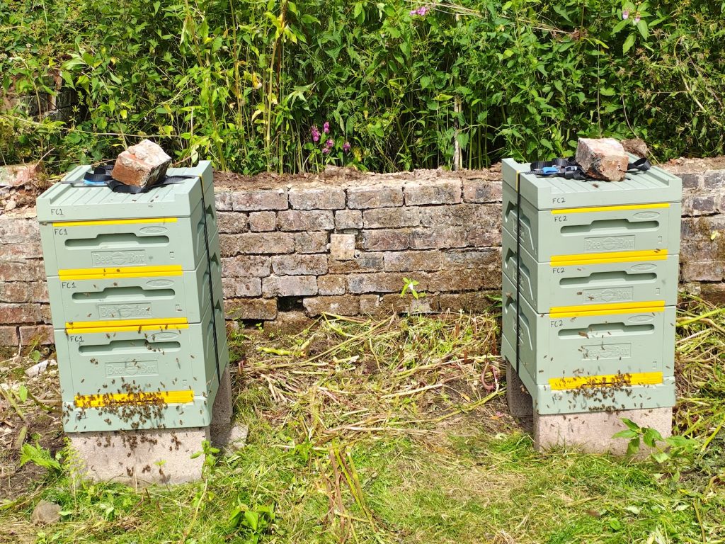 Honey bee hives